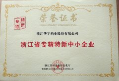 浙江省專(zhuān)精特新中小企業(yè)